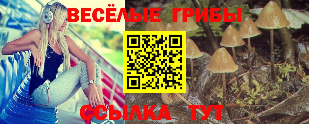 Галлюциногенные грибы мицелий  Псилоцибиновые грибы мухоморы  продажа наркотиков  Елизово  Вход с VPN 